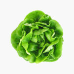 Bathua Saag/Leaves