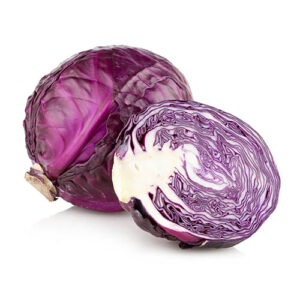 Lombarda