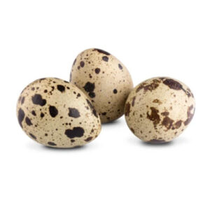 Huevos de Codorniz
