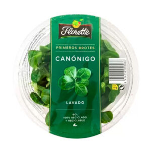 Canónigos