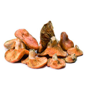 Níscalos