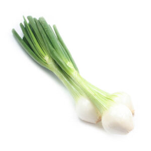 Cebolleta Redonda