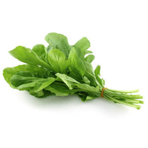 Albahaca