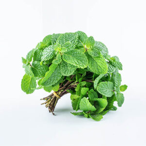 Hierbabuena fresca