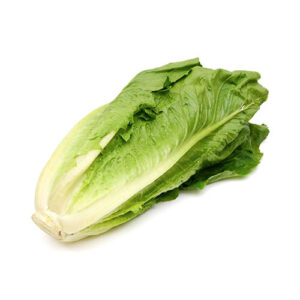 Lechuga