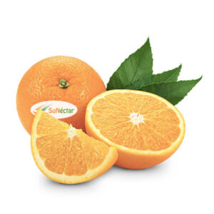 Naranjas Extra