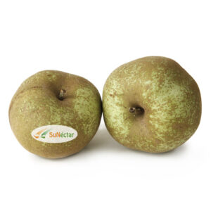 Manzana Reineta