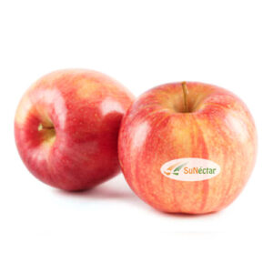 Manzana Royal Gala Extra