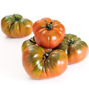 Tomate Rebelion