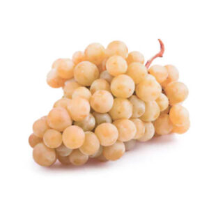 Uva Moscatel